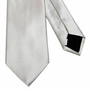Valentino Light Gray Men's 100% Silk Neck Tie